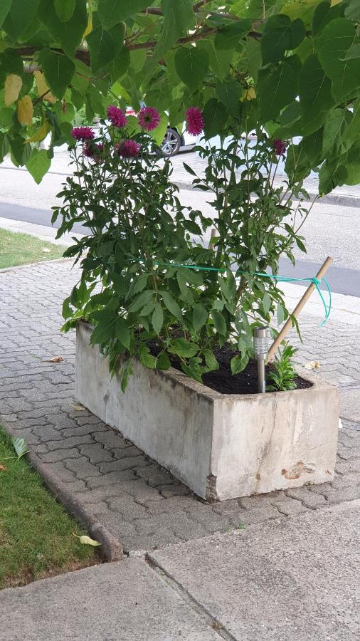 Ferienwohnung "Zum Alten Kuhstall" Oberhausen  Bagian luar foto