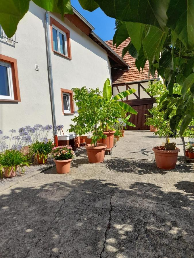 Ferienwohnung "Zum Alten Kuhstall" Oberhausen  Bagian luar foto