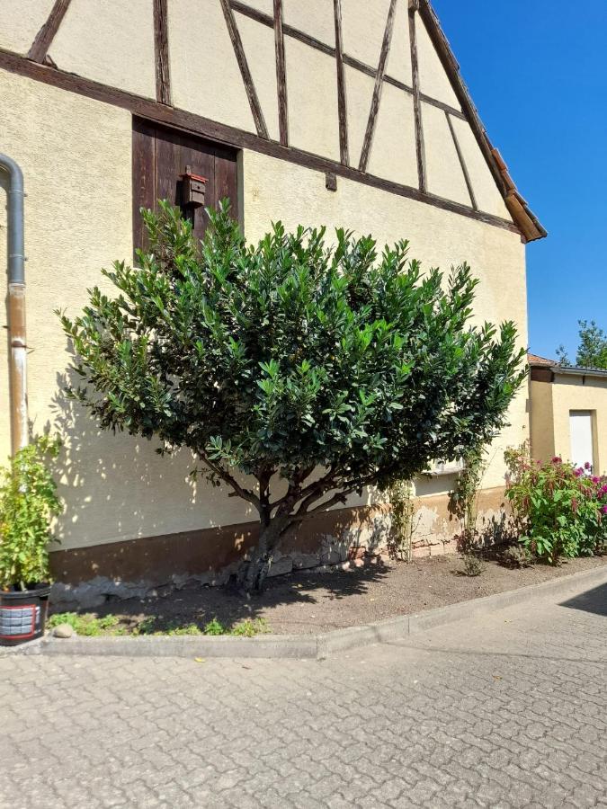 Ferienwohnung "Zum Alten Kuhstall" Oberhausen  Bagian luar foto